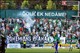 Bohemians - Sigma (dn na tribunch - Sektor1905)