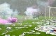 Trabzonspor - Fenerbahçe 01.04.2012