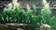 Coritiba - Atletico Paranaense 12.05.2013