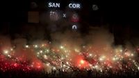 Copa Libertadores: Zbava, pyro, oslavy...