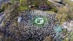 Fanou�ci bojkotovali budape��sk� derby