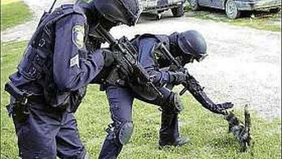 /titleImg/fanousci-se-budou-lovit-jako-ryby-/1/4352.jpg?width=570