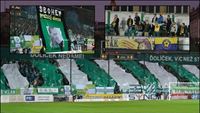FotoReport: Bohemians Praha - Vysoina Jihlava
