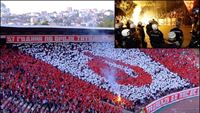 FotoReport: Crvena Zvezda - Jagodina