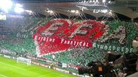 FotoReport: Legia Varava - Steaua Bukure