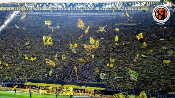 /titleImg/fotoreport-rievier-derby/1/6764.jpg?width=570