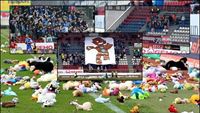 FotoReport: SK Sigma Olomouc - FK Pardubice