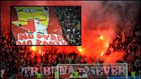 FotoReport: Slavia Praha - 1. SC Znojmo