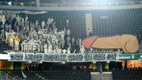 FotoReport: Young Boys Bern - FC Lucern