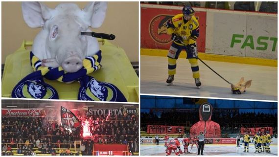 /titleImg/praseci-hlava-s-salou-prerova-na-hraci-plose-hanacke-derby-nabidlo-i-choreo-a-pyro/1/9849.jpg?width=570
