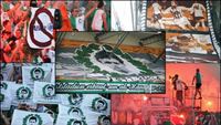 Rapid se louil se stadionem Gerharda Hanappi