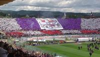 Ultras Viola z Florencie